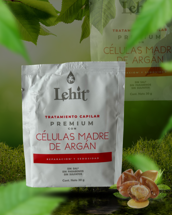 CELULAS MADRE Celulas Madres De Argán