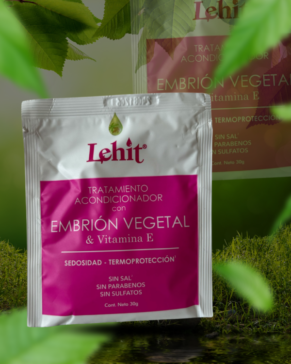 EMBRION VEGETAL Embrión Vegetal