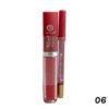 Lipgloss con Lápiz Delineador